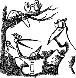 Кошмарное преступление в курятнике - pict_127.png