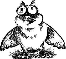 Кошмарное преступление в курятнике - pict_137.png