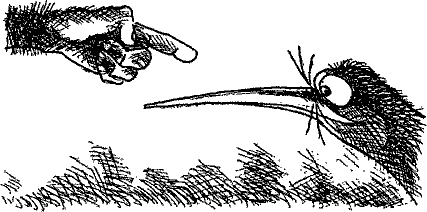 Кошмарное преступление в курятнике - pict_141.png