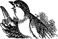 Кошмарное преступление в курятнике - pict_151.png