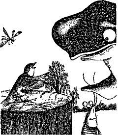 Кошмарное преступление в курятнике - pict_152.png