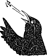 Кошмарное преступление в курятнике - pict_159.png