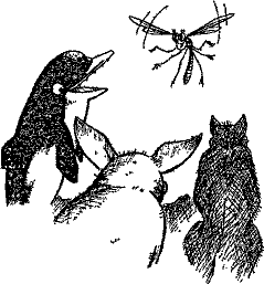 Кошмарное преступление в курятнике - pict_182.png