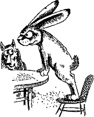 Кошмарное преступление в курятнике - pict_183.png