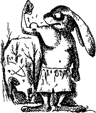 Кошмарное преступление в курятнике - pict_184.png