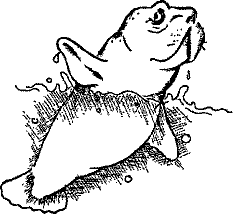 Кошмарное преступление в курятнике - pict_189.png