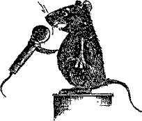 Кошмарное преступление в курятнике - pict_194.png