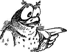 Кошмарное преступление в курятнике - pict_195.png