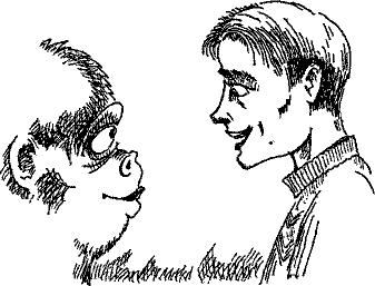 Кошмарное преступление в курятнике - pict_213.png