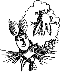 Кошмарное преступление в курятнике - pict_216.png