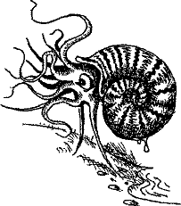 Кошмарное преступление в курятнике - pict_217.png