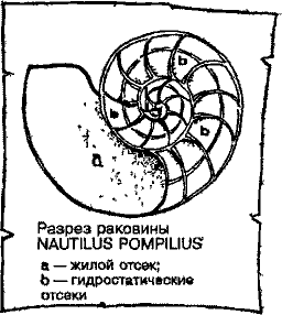 Кошмарное преступление в курятнике - pict_219.png