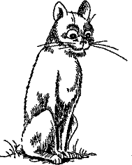 Кошмарное преступление в курятнике - pict_221.png