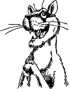 Кошмарное преступление в курятнике - pict_222.png