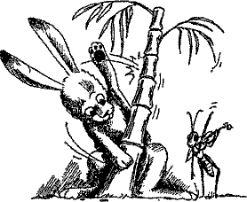 Кошмарное преступление в курятнике - pict_223.png