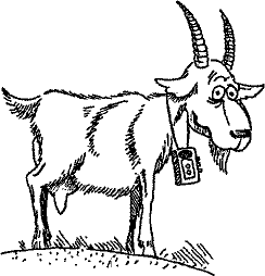 Кошмарное преступление в курятнике - pict_230.png