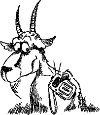 Кошмарное преступление в курятнике - pict_231.png