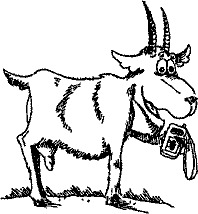 Кошмарное преступление в курятнике - pict_233.png