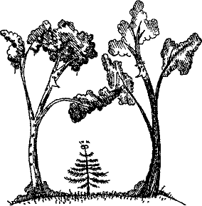 Кошмарное преступление в курятнике - pict_235.png