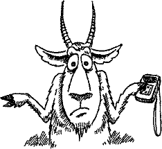 Кошмарное преступление в курятнике - pict_236.png