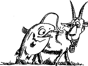 Кошмарное преступление в курятнике - pict_237.png