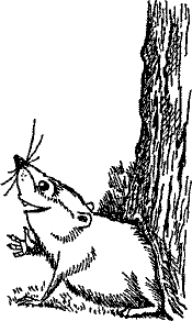 Кошмарное преступление в курятнике - pict_240.png