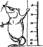 Кошмарное преступление в курятнике - pict_242.png