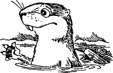 Кошмарное преступление в курятнике - pict_258.png