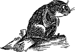 Кошмарное преступление в курятнике - pict_259.png