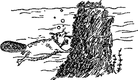 Кошмарное преступление в курятнике - pict_260.png