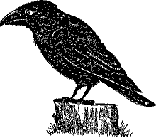 Кошмарное преступление в курятнике - pict_261.png