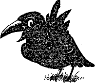 Кошмарное преступление в курятнике - pict_263.png