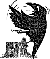 Кошмарное преступление в курятнике - pict_264.png