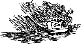 Кошмарное преступление в курятнике - pict_267.png