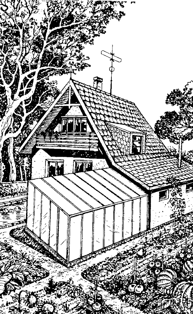 Солнечный вегетарий. Витаминное изобилие круглый год - img_1.png