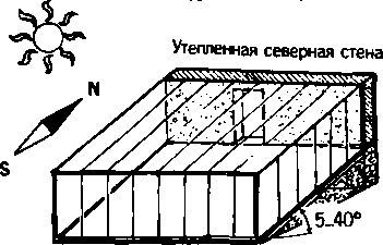 Солнечный вегетарий. Витаминное изобилие круглый год - img_7.png