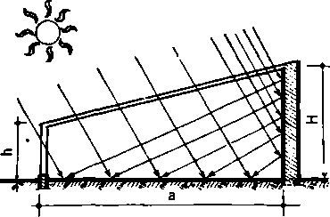 Солнечный вегетарий. Витаминное изобилие круглый год - img_8.png