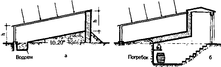 Солнечный вегетарий. Витаминное изобилие круглый год - img_9.png