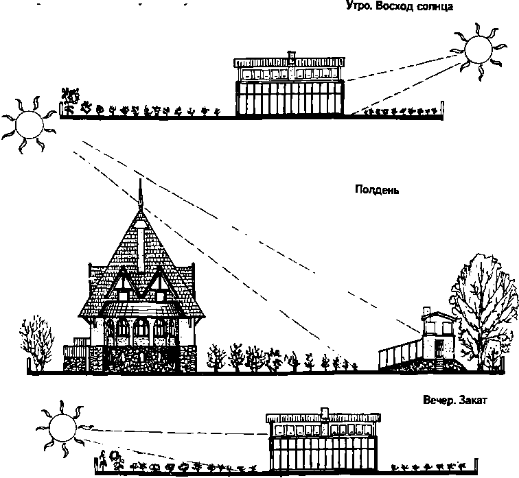 Солнечный вегетарий. Витаминное изобилие круглый год - img_16.png