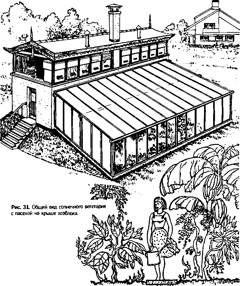 Солнечный вегетарий. Витаминное изобилие круглый год - img_39.png