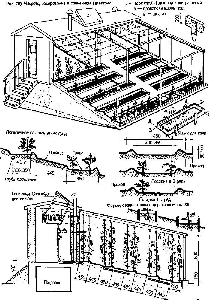 Солнечный вегетарий. Витаминное изобилие круглый год - img_48.png
