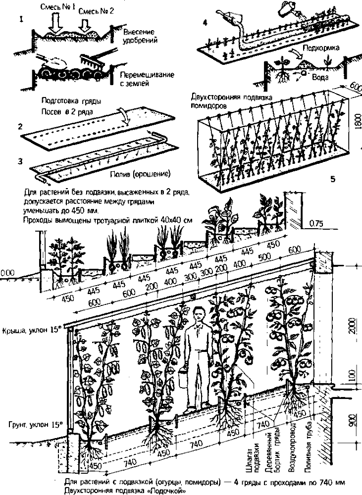 Солнечный вегетарий. Витаминное изобилие круглый год - img_49.png