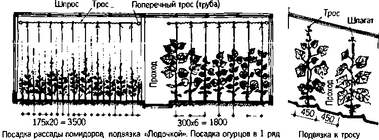 Солнечный вегетарий. Витаминное изобилие круглый год - img_50.png