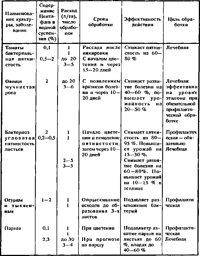 Солнечный вегетарий. Витаминное изобилие круглый год - img_58.png