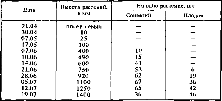 Солнечный вегетарий. Витаминное изобилие круглый год - img_60.png