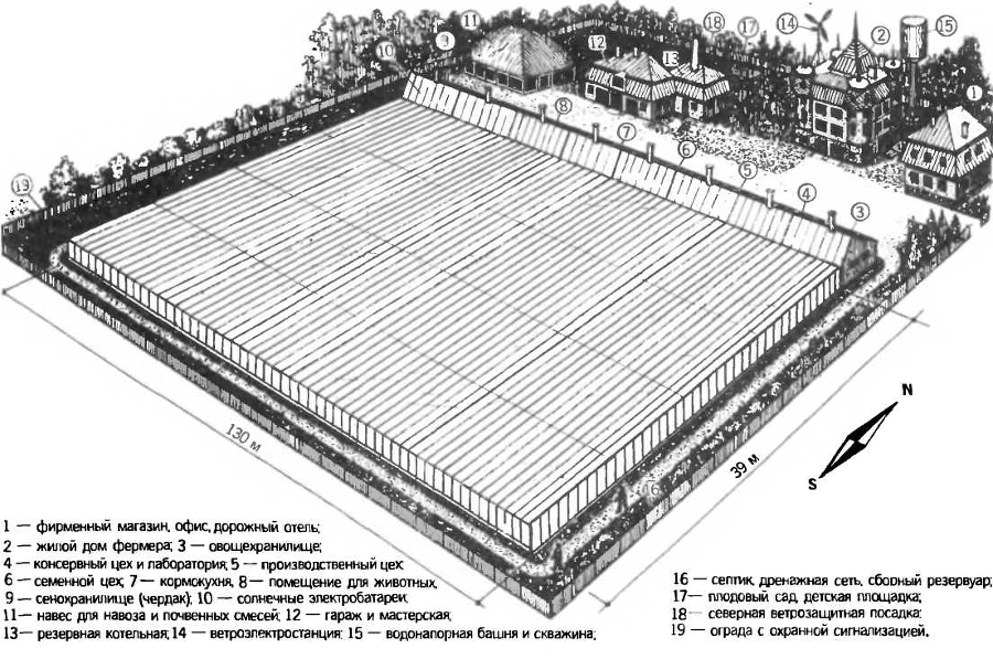 Солнечный вегетарий. Витаминное изобилие круглый год - img_62.jpeg