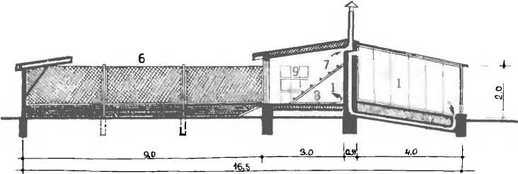 Солнечный вегетарий. Витаминное изобилие круглый год - img_74.jpeg