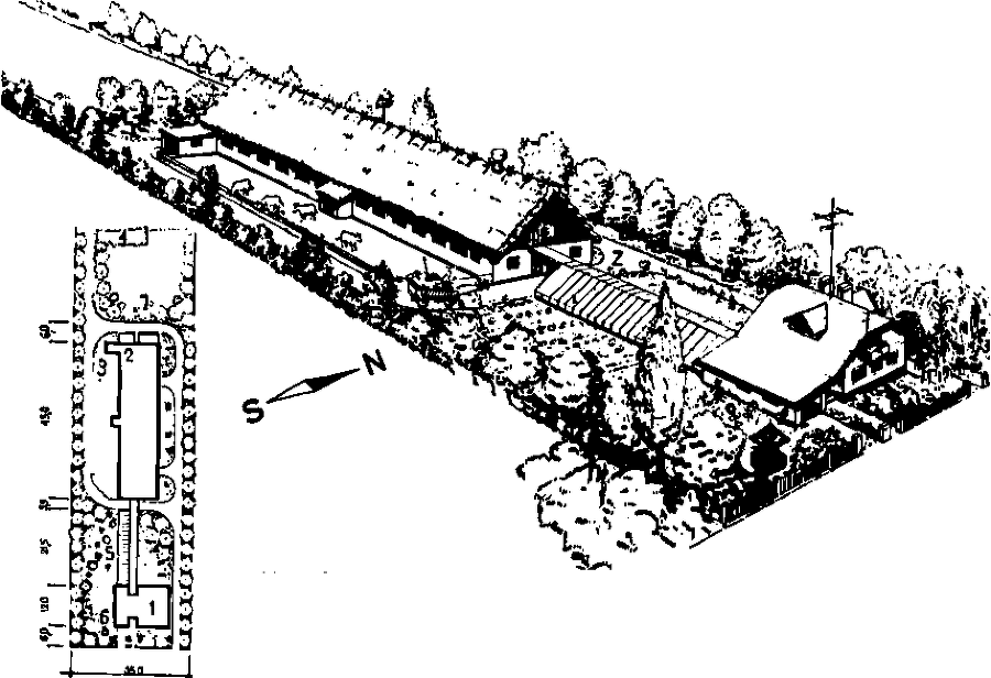 Солнечный вегетарий. Витаминное изобилие круглый год - img_91.png
