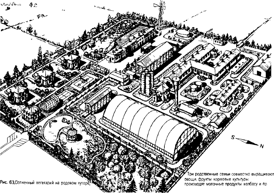 Солнечный вегетарий. Витаминное изобилие круглый год - img_92.png