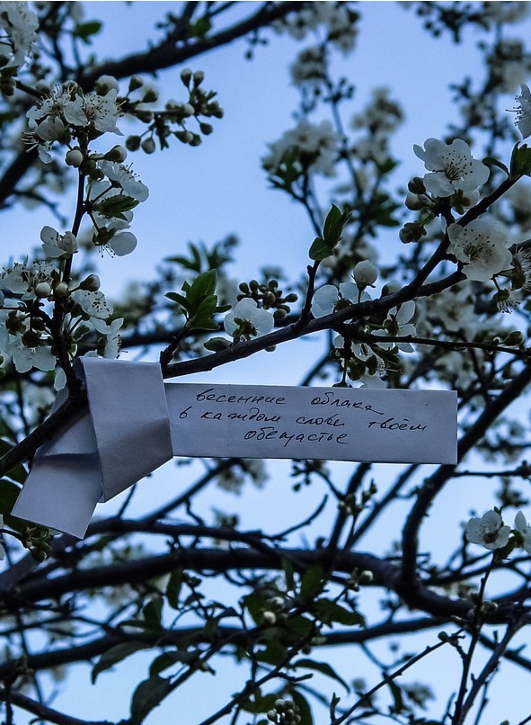 Скрипичный снег - image4_5791a4f69c8152070025c11f_jpg.jpeg